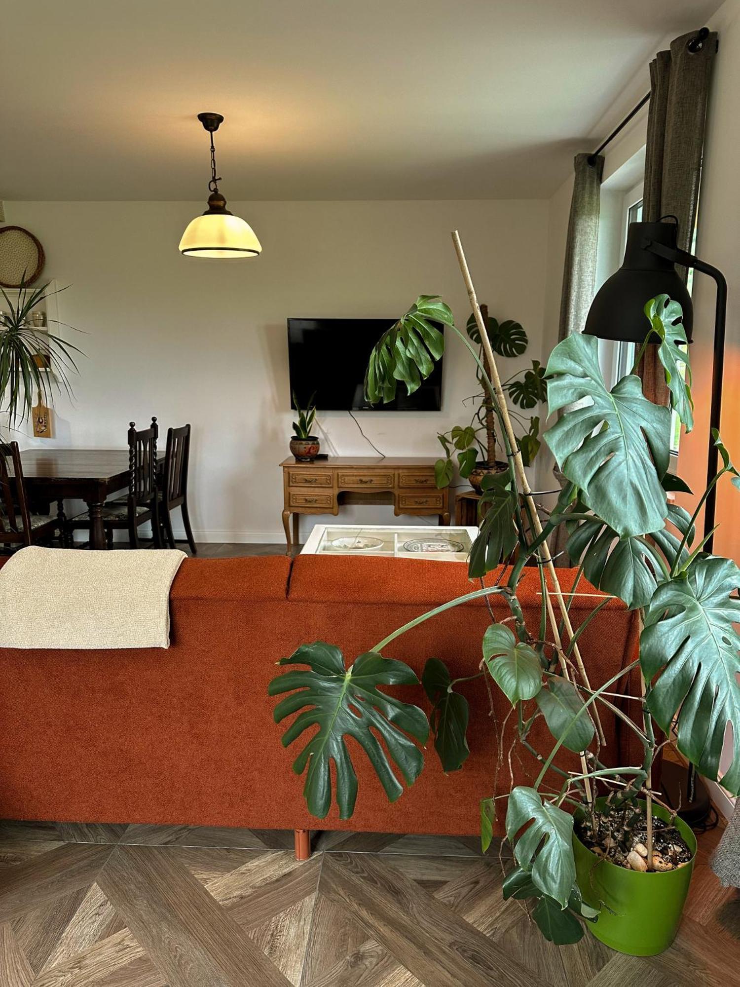 Lawendowy Raj Apartment